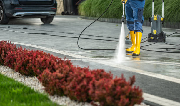 Animal Enclosure Cleaning in Muldrow, OK